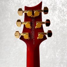 Paul Reed Smith [PRS] SE-Custom24 MOD_5