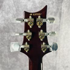 Paul Reed Smith [PRS] MCCARTY 594 SINGLECUT SOAPBAR_6