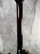 Paul Reed Smith [PRS] MCCARTY 594 SINGLECUT SOAPBAR_7