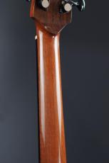 NISHIHARA GUITARS RN BROWN 00_8