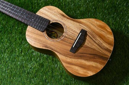 Big Island KR-AT-CTS Concert【KURA-KURA Series】