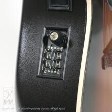 Ovation Custom Legend 1769 _10