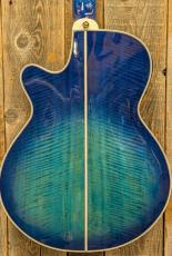 Takamine TSP178AC SBB 【無金利分割OK】_3