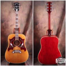 Gibson 1968年製 Dove Double Pickguard