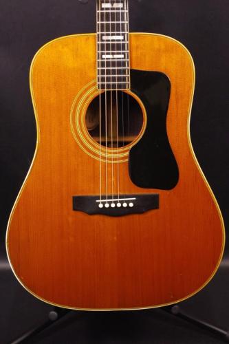 Guild D-55