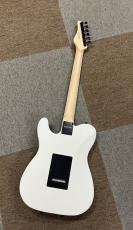 SCHECTER OL-PT-2H-VTR/SW/R_3