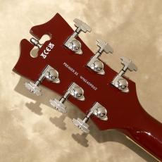 D'Angelico Premier SS, Burnt Red_5