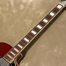 D'Angelico Premier SS, Burnt Red_6