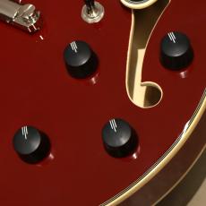 D'Angelico Premier SS, Burnt Red_8