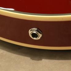 D'Angelico Premier SS, Burnt Red_10