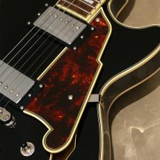 D'Angelico Premier SS, Black_9