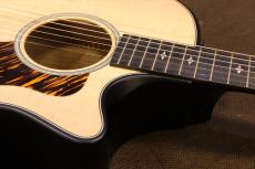 Taylor 50th Anniversary Builder's Edition 314ce LTD_8