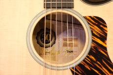 Taylor 50th Anniversary Builder's Edition 314ce LTD_9