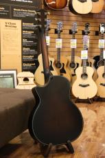 Taylor 50th Anniversary Builder's Edition 314ce LTD_11