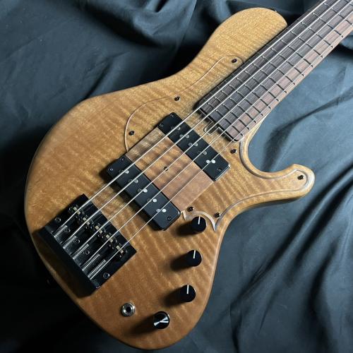 saitiasguitars Aquarius 5 Custom Tabu(椨)