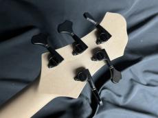 saitiasguitars Aquarius 5 Custom Tabu(椨)_11