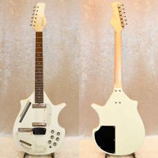 Jerry Jones Electric Sitar_2