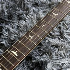 Paul Reed Smith [PRS] SE Silver Sky Rosewood Laurel Green -John Mayer Signature Model-【中古美品】【2025年製】_5