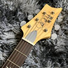 Paul Reed Smith [PRS] SE Silver Sky Rosewood Laurel Green -John Mayer Signature Model-【中古美品】【2025年製】_6