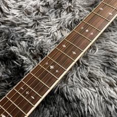 ARIA APE-100 SR (See-through Red)【アウトレット特価】【生産完了カラー】【エレアコ】_5