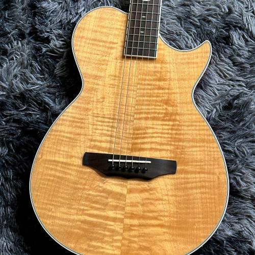 ARIA APE-100 N (Natural) 【アウトレット特価】【エレアコ】