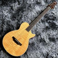 ARIA APE-100 N (Natural) 【アウトレット特価】【エレアコ】_2