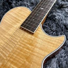 ARIA APE-100 N (Natural) 【アウトレット特価】【エレアコ】_4