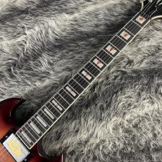 Epiphone SG Prophecy Aged Bengal Tiger Burst_2