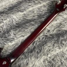 Epiphone SG Prophecy Aged Bengal Tiger Burst_7