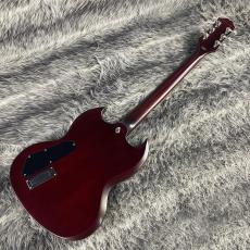 Epiphone SG Prophecy Aged Bengal Tiger Burst_9