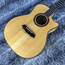 Landscape SPT-Artist/M