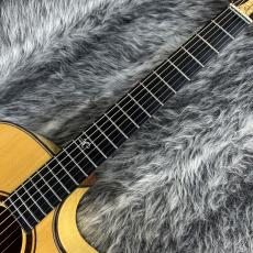 Landscape SPT-Artist/M_4