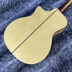 Landscape SPT-Artist/M_6