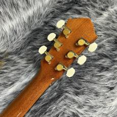 Landscape SPT-Artist/M_9