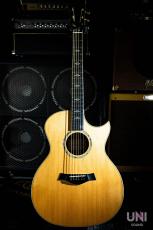 Taylor 814ce-C Japan Limited  ES2 / 2014_2