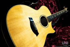 Taylor 814ce-C Japan Limited  ES2 / 2014_8