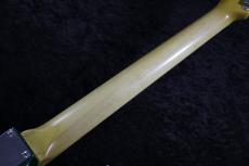 FREEDOM CUSTOM GUITAR RESEARCH 【極太生鳴り】Custom Order RS ST Alder/Rosewood All Lacquer-Sherwood Green-【3.35kg/軽量】_10