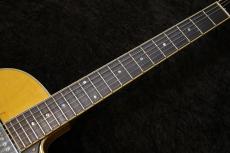 Rozeo 【USED】Ladybug-CB CM HB/SS -Vintage Amber-【軽量!3.02kg】_7