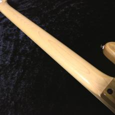 FUJIGEN NJB100MBAHV-Vintage Natural-#G250082 【5.06kg】【重量個体!】_8