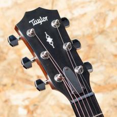 Taylor 312ce 2024_8