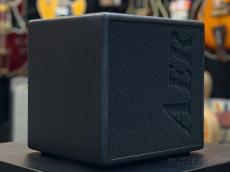 AER Alpha【中古品】【リバーブ】【ヘッドホン端子】【専用ギグバック付属】_3