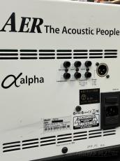 AER Alpha【中古品】【リバーブ】【ヘッドホン端子】【専用ギグバック付属】_5