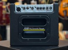 AER Alpha【中古品】【リバーブ】【ヘッドホン端子】【専用ギグバック付属】_6