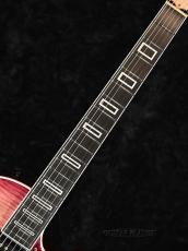 Seventy Seven Guitars 【ギタプラ大歳末セール2025】STORK-TOCHI PP-WSE'23/E-RBR-B-_5