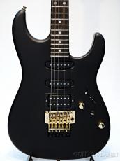 James Tyler Studio Elite HD Rear Rout -BBQ Black with Burning Water head Stock-_2