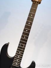 James Tyler Studio Elite HD Rear Rout -BBQ Black with Burning Water head Stock-_7