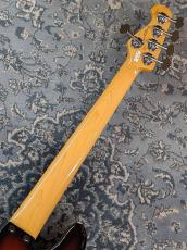 FUJIGEN NJB100RALV -3 Tone Sunburst-_7