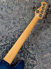 FUJIGEN NJB100MBAHV -See Thru Blue Burst-_7