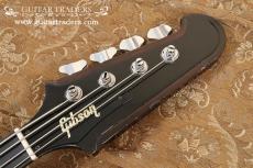 Gibson 1989 Thunderbird Ⅳ_4
