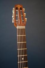 Stringphonic Basic Plus_5